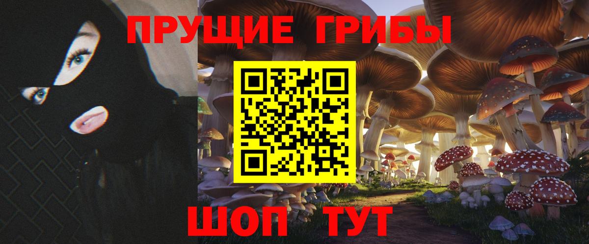 Ленинск-Кузнецкий  Галлюциногенные грибы мухоморы  Вход с VPN  Псилоцибиновые грибы прущие грибы 