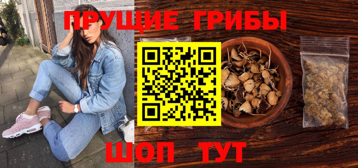 Псилоцибиновые грибы Psilocybine cubensis Ленинск-Кузнецкий